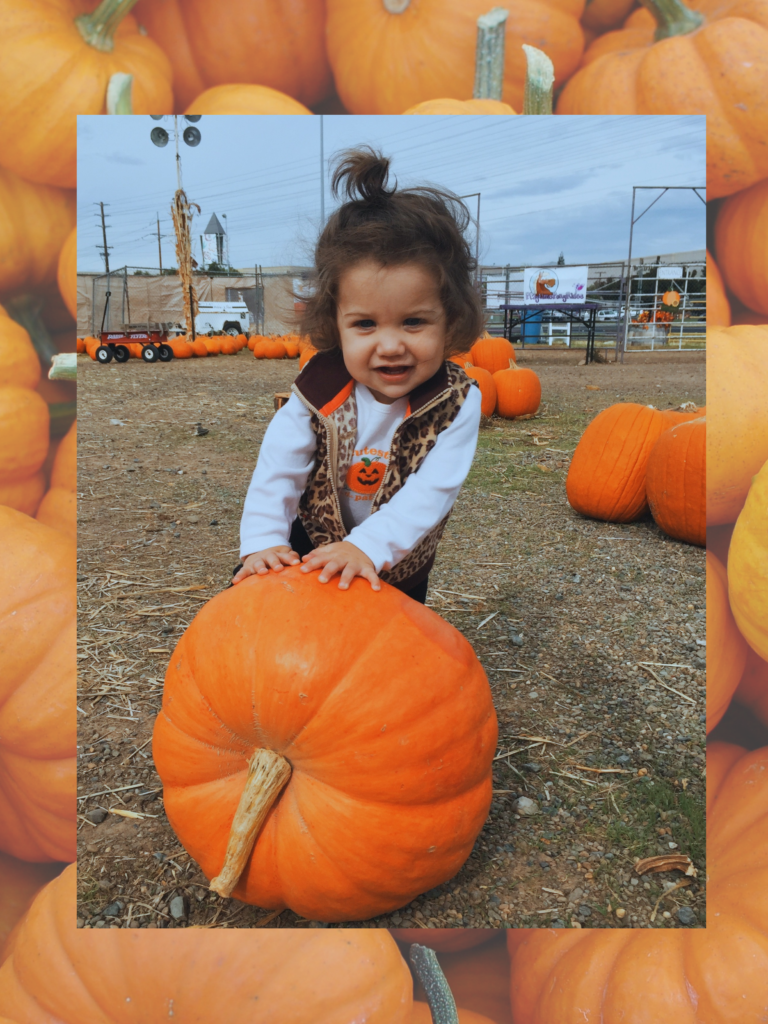 Buford Area Pumpkin Patches 2021